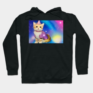 Party Animal Hoodie